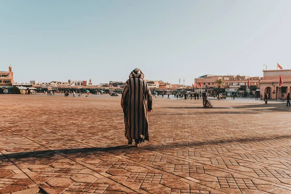 Eine Sonnige Szenerie Eines Arabischen Männchens Entkleideten Tauwetter Das Großen — Stockfoto