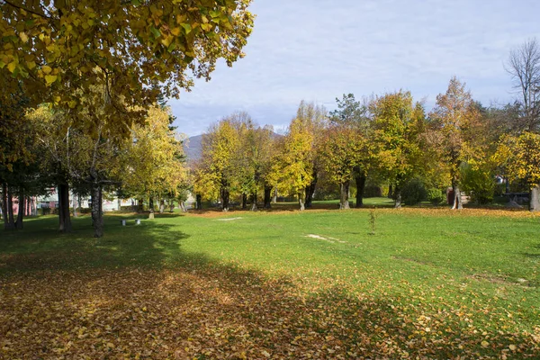 Una Vista Parque Ciudad Gracac Otoño Croacia Sobre Fondo Cielo — Foto de Stock