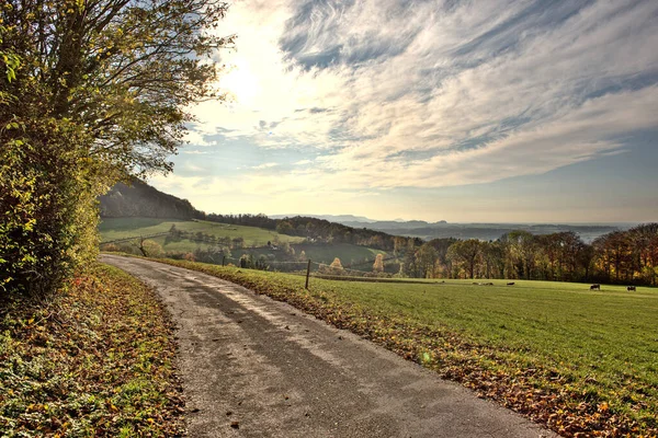 Eine Landschaft Von Wegen Mit Bäumen Und Viel Grün Der — Stockfoto