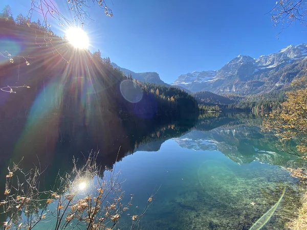 Landscape View Tovel Lake Trentino Alto Adige Italy Bright Sun — Stock Photo, Image