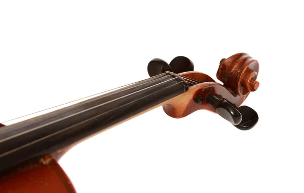 Die Saiten Einer Geige Isoliert Auf Weißem Hintergrund — Stockfoto