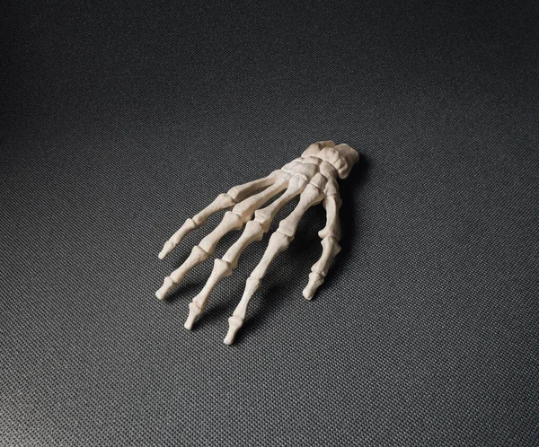 Hand bones model recreation over a grey background, with a ergonomic and dynamic style.