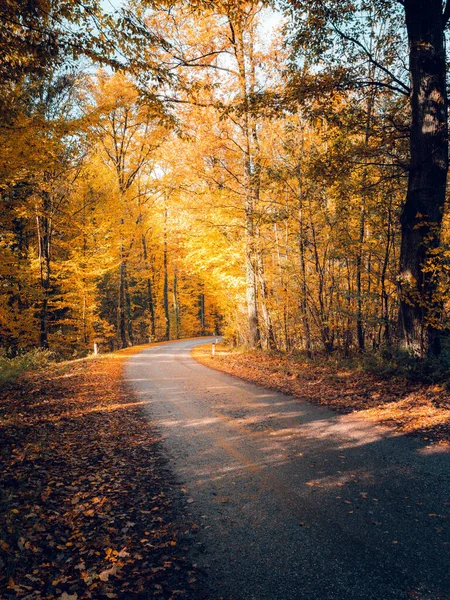 Eine Vertikale Aufnahme Einer Gepflasterten Kurvenreichen Straße Die Durch Ein — Stockfoto