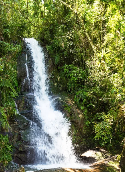 Tiro Vertical Uma Cachoeira Através Floresta — Fotografia de Stock