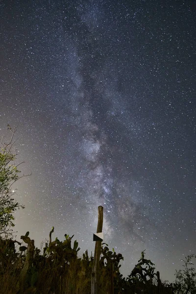 Vertikální Záběr Hvězdné Noční Oblohy Nad Polem — Stock fotografie