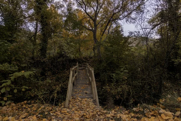 Drewniany Wąski Most Jesiennym Kolorowym Lesie Pokrytym Opadłymi Liśćmi — Zdjęcie stockowe