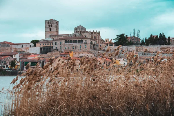 Výběrový Snímek Catedral Zamora Španělsku — Stock fotografie