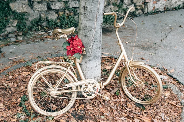 Zbliżenie Złotego Roweru Kwiatami Poinsettii Owiniętymi Wokół Niego Opierającego Się — Zdjęcie stockowe