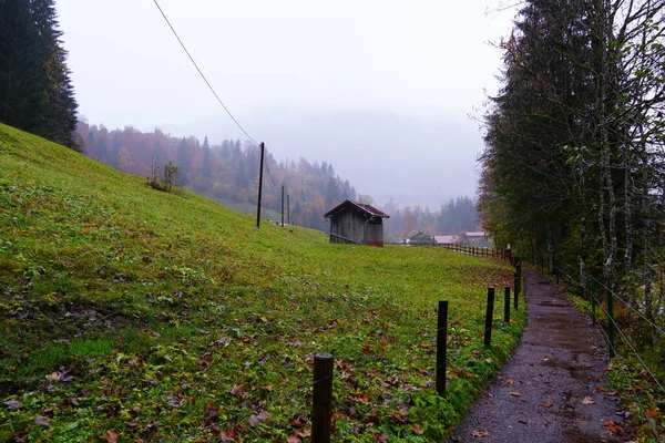 Disparo Día Nublado Otoño Los Alpes Allgaeu — Foto de Stock