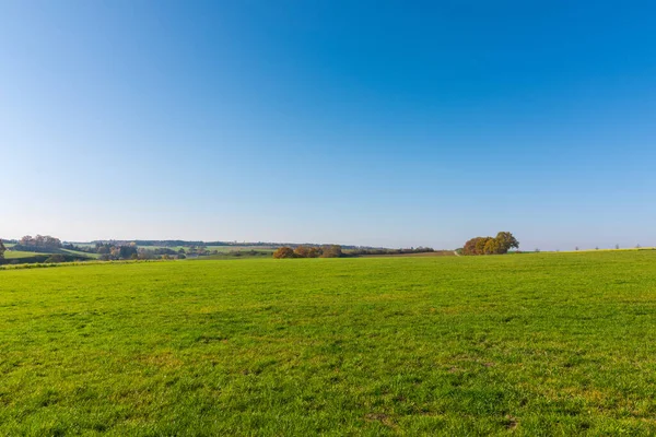 Krásný Záběr Zelené Pole — Stock fotografie