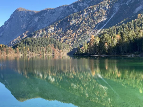 Landscape View Beautiful Tovel Lake Trentino Alto Adige Italy — Stock Photo, Image