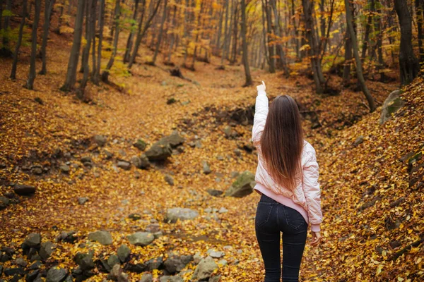 Eine Rückansicht Eines Jungen Weibchens Herbstpark — Stockfoto