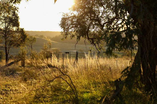 Een Boerderij Scene Een Landgoed New South Wales Australië — Stockfoto