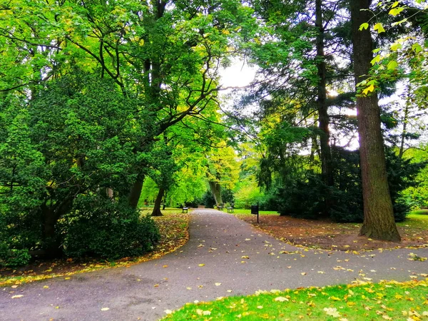 Удивительный Снимок Осенней Сцены Парка Оливский Гданьске Польша — стоковое фото