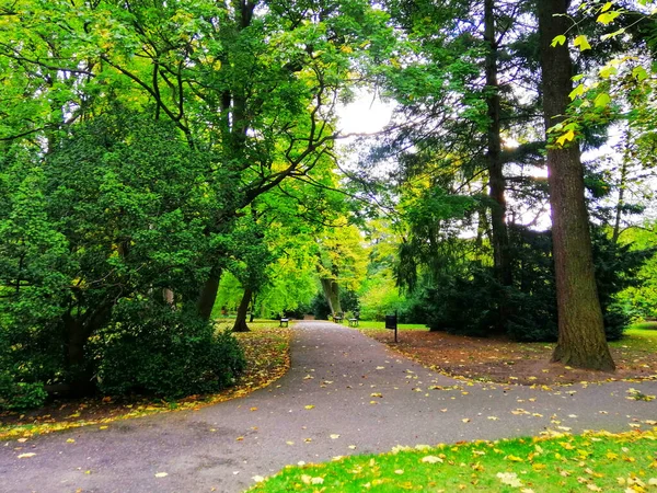 Superbe Cliché Scène Automnale Parc Oliwski Gdansk Pologne — Photo