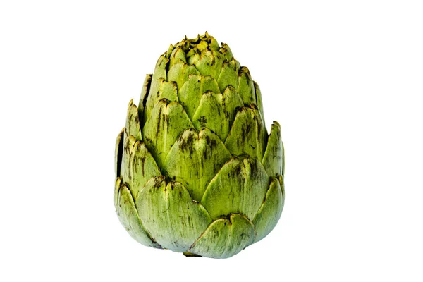 Closeup Shot Fresh Artichoke Isolated White Background — Stock Photo, Image