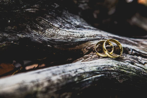 Egy Közeli Kép Arany Jegygyűrűkről Egy Faágon — Stock Fotó