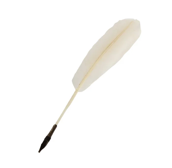 Ένα Στυλό Φτερό Απομονωμένο Λευκό Φόντο — Φωτογραφία Αρχείου