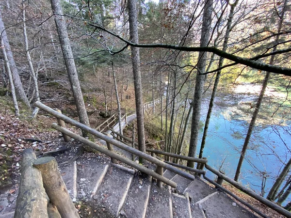 Blick Auf Eine Treppe Zum Tovelsee Trentino Südtirol Italien — Stockfoto