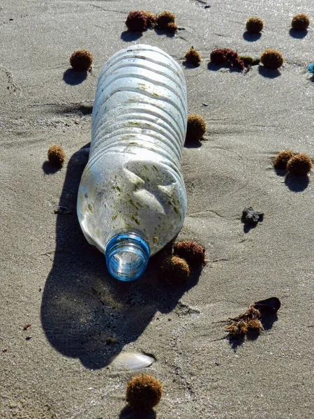 海が返すペットボトル — ストック写真