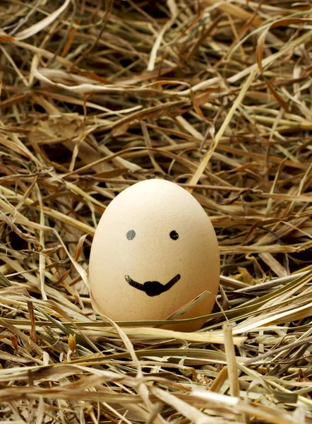 Samanlıkta Boyalı Bir Yumurta Suratın Dikey Görüntüsü — Stok fotoğraf