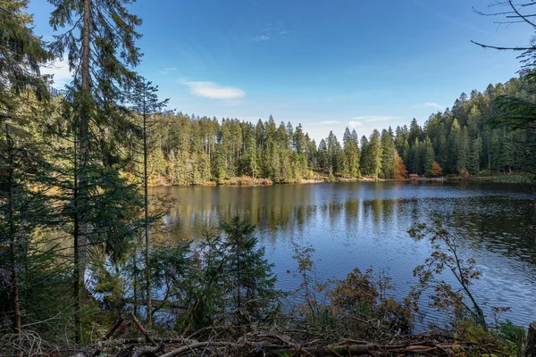 Primo Piano Lago Immerso Nel Verde Glaswaldsee Foresta Nera Germania — Foto Stock