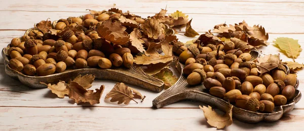 Eine Nahaufnahme Von Eicheln Und Herbstblättern — Stockfoto