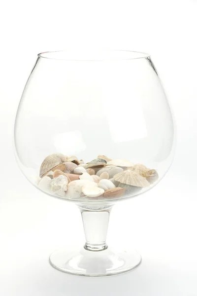 白い背景に貝殻の入ったコニャックガラスの垂直ショット — ストック写真