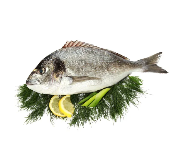 Een Zeebrasem Ingrediënten Voor Kruiden Witte Achtergrond — Stockfoto