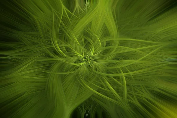 Een Weergave Van Een Abstracte Groene Bloemenachtergrond — Stockfoto