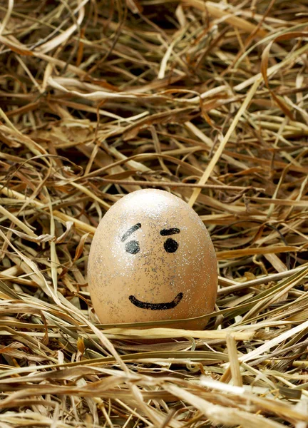 Kuru Otların Üzerinde Kafası Karışık Bir Ifadeyle Bir Yumurtanın Dikey — Stok fotoğraf