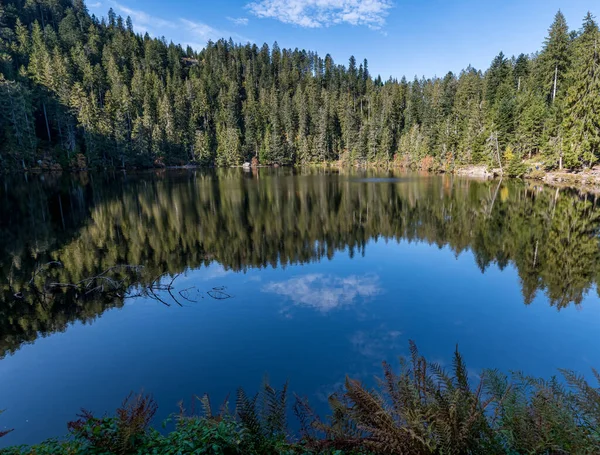 Gros Plan Lac Entouré Verdure Glaswaldsee Forêt Noire Allemagne — Photo