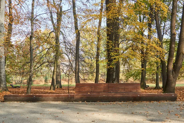 Körül Fák Padok Borított Száraz Levelek Egy Parkban Ősszel — Stock Fotó