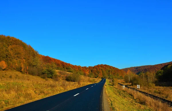 Nahaufnahme Einer Glatten Straße Der Landschaft Herbstliche Natur Mit Buntem — Stockfoto