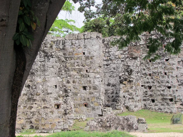 stock image A ruined and abandoned castle wall surrounded with plants