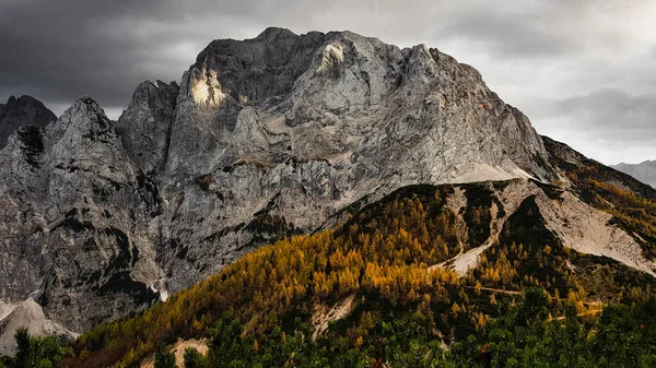 Landscape Rocky Mountain Triglav National Park Bohinjsko Slovenia — Stock Photo, Image