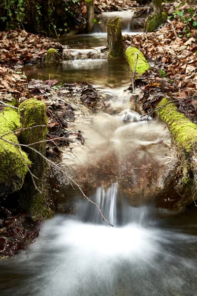 森林里水流湍急 水流湍急的河流的垂直截图 — 图库照片