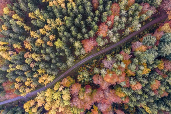 Antenn Ovanifrån Väg Genom Den Färgglada Höstskogen — Stockfoto