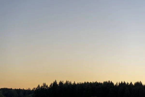 Die Silhouetten Von Bäumen Auf Einem Feld Bei Einem Beruhigenden — Stockfoto