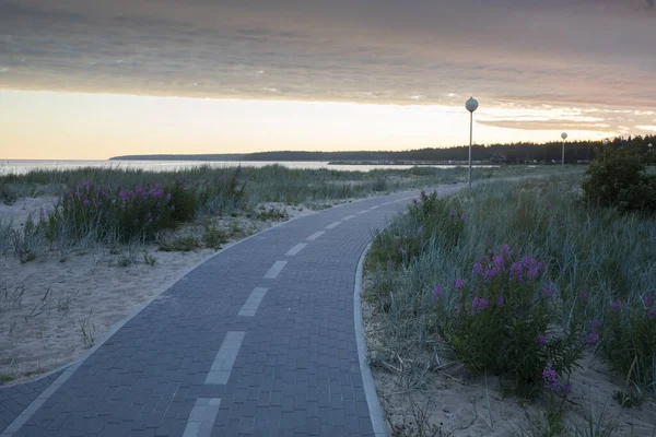 Крупный План Дороги Пляжу Время Прекрасного Заката — стоковое фото