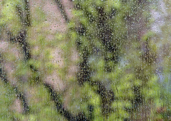 Der Regenwald Hinter Dem Mit Regentropfen Überzogenen Glas — Stockfoto