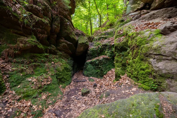 Rotsachtige Kliffen Bedekt Met Mos Omgeven Door Bomen Het Saksische — Stockfoto