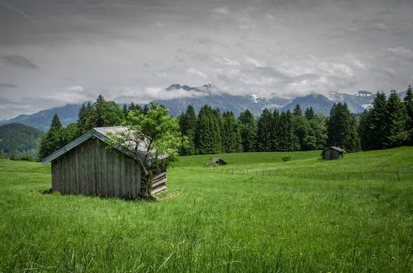 Een Landschap Van Een Veld Bedekt Met Het Gras Omringd — Stockfoto