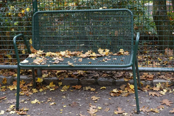 Parktaki Metal Bir Bankta Sonbahar Yapraklarının Manzarası — Stok fotoğraf