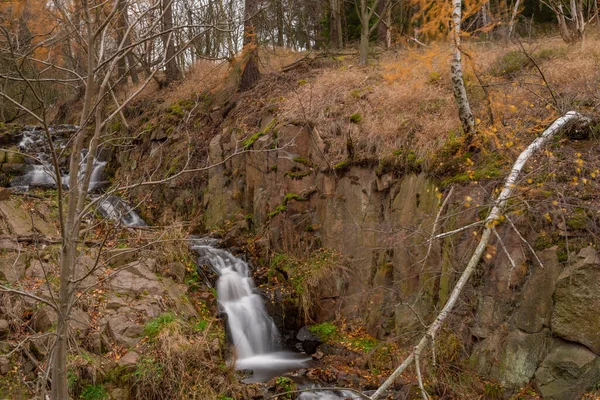 Gros Plan Une Cascade Dans Forêt — Photo