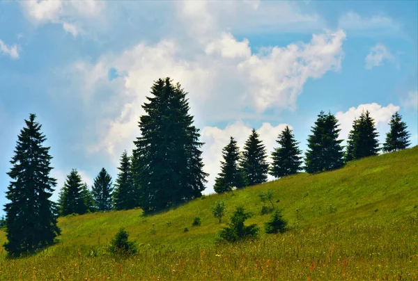 Eine Schöne Wolkenlandschaft Über Einem Frisch Grasbewachsenen Hang Mit Immergrünen — Stockfoto