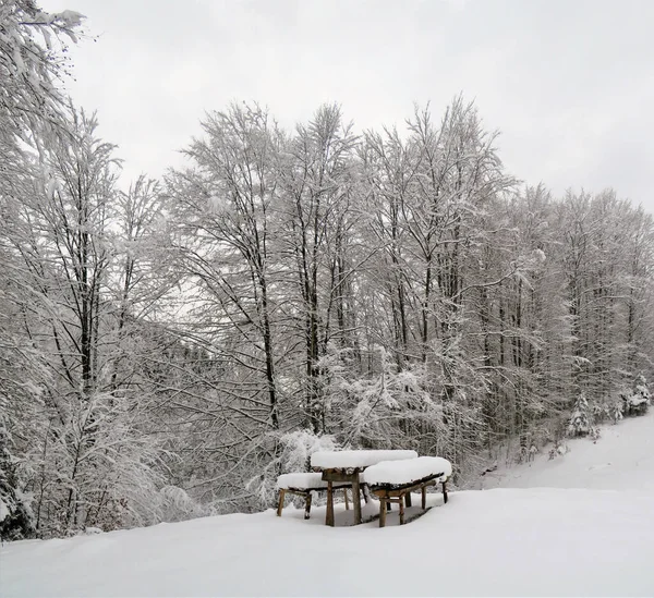 美丽的冬季乡村风景 光秃秃的树木 木结构 覆盖着厚厚的积雪 — 图库照片