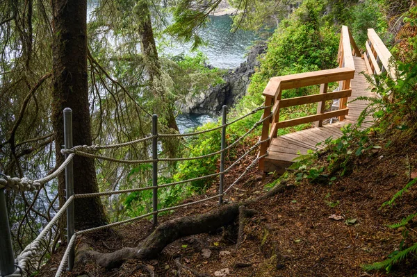カナダの美しい公園の木道 — ストック写真