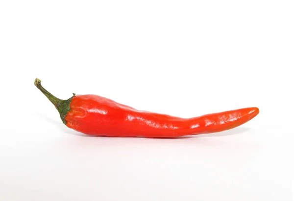 Pimiento Picante Aislado Sobre Fondo Blanco — Foto de Stock