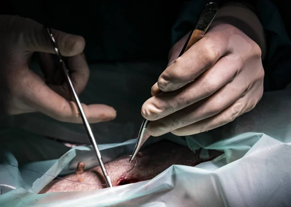 Close Médicos Que Trabalham Cirurgia Sala Escura — Fotografia de Stock